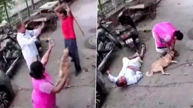 Delhi Shocker: Angry Over Dog’s Barking, Man Attacks Pet, Its Owner and 3 Others With Iron Rod in Paschim Vihar (Watch Video)
